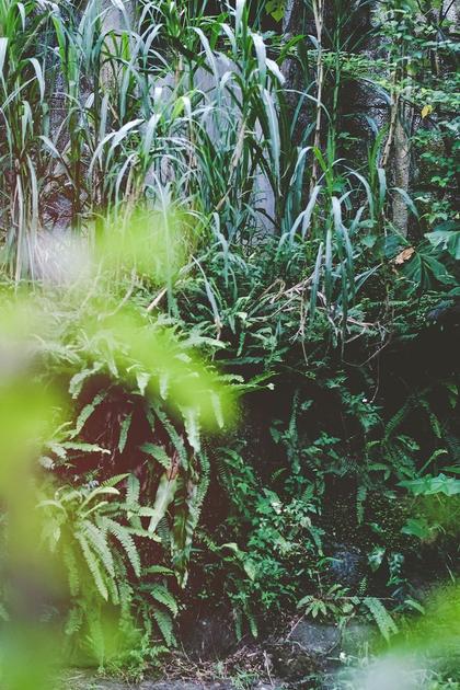 El Chapo & Sean Penn: Bungle in the Jungle