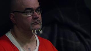 Cell Shock Cell Shock