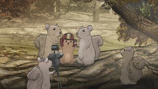 Squirrels: Part II.