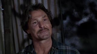 Pros and Cons Pros and Cons