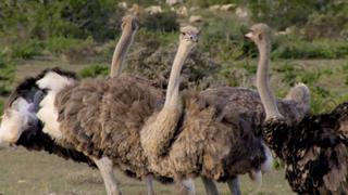 De Hoop: Place of Hope De Hoop: Place of Hope