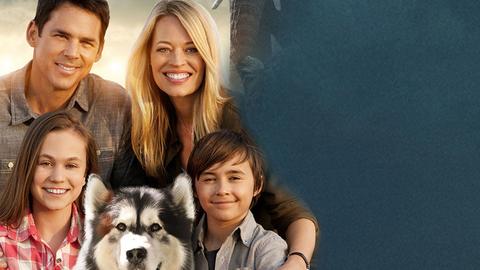 Against the Wild: Survive the Serengeti