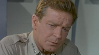 The X Factor The X Factor