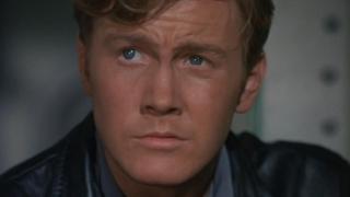 The Monster's Web The Monster's Web