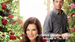  watch Flower Shop Mystery: Snipped in the Bud