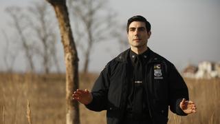 Down the Rabbit Hole