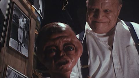 The Ventriloquist's Dummy