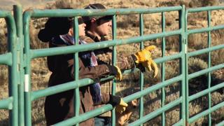 The Bison Come Home