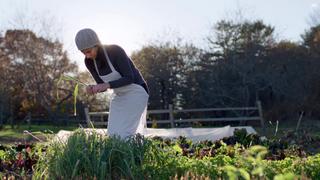 Farm to Table in Rockland, Maine
