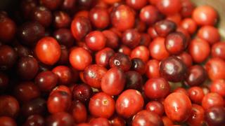 Spot Prawns Spot Prawns