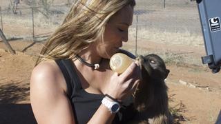 Baby Baboons