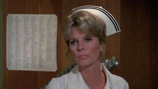 Cook's Tour Cook's Tour