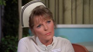 The Professor The Professor