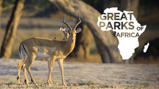  watch Great Parks of Africa