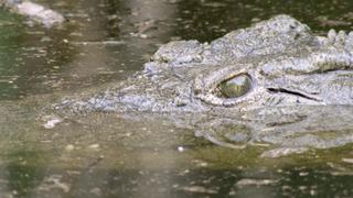 iSimangaliso iSimangaliso