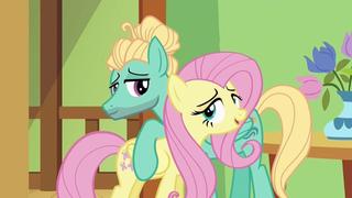 Flutter Brutter