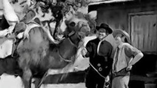 The Great Mojave Chase The Great Mojave Chase