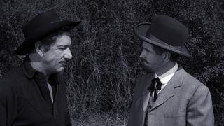 The Prisoner