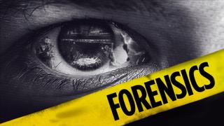  watch Forensics