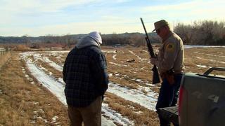 Last Hurrah Last Hurrah