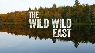 Wild Wild East