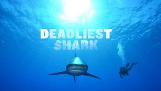 Deadliest Sharks