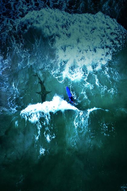 Sharks Among Us