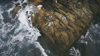 Tides Tides