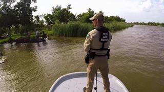Gator Bait Gator Bait