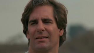 8 1/2 Months: November 15, 1955