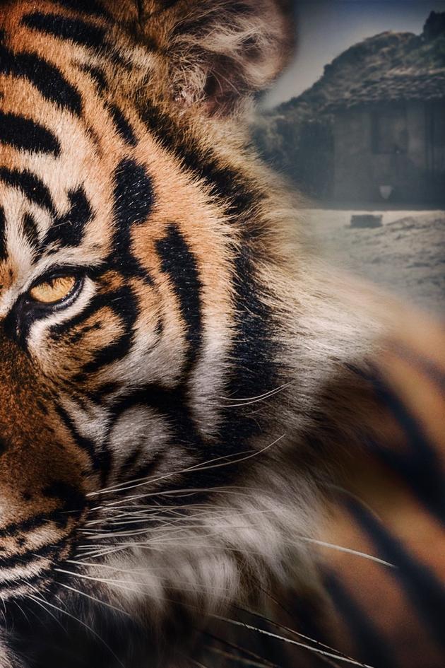 Living with Man Eaters