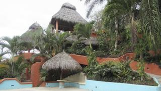 Cultures Collide in Sayulita