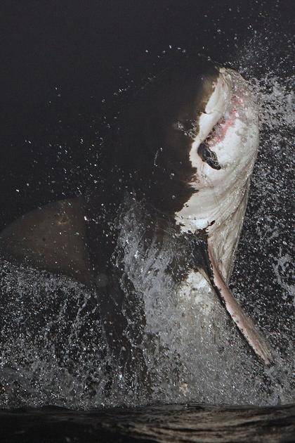Air Jaws: Night Stalker