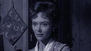 The Visitor The Visitor