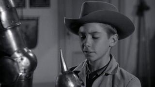 The Young Englishman The Young Englishman