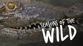 Seasons of the Wild