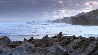 Sweeping Shores Sweeping Shores