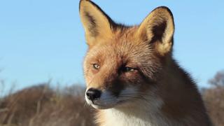 Ejection and Odor Ejection and Odor