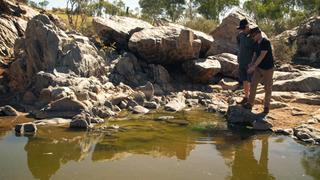 Raining Fish Raining Fish