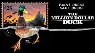 The Million Dollar Duck
