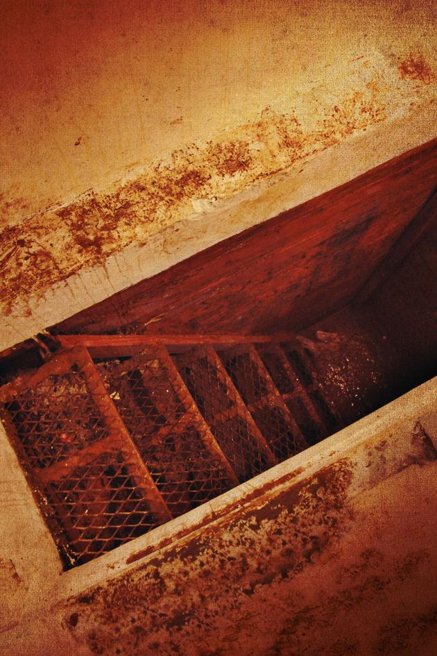 The Rise and Fall of El Chapo