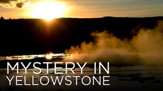 Mystery in Yellowstone