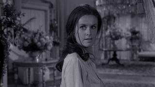 Spur of the Moment Spur of the Moment