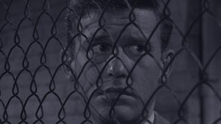 People Are Alike All Over