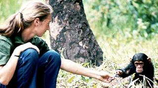 Episode 3: The Animal Within Episode 3: The Animal Within