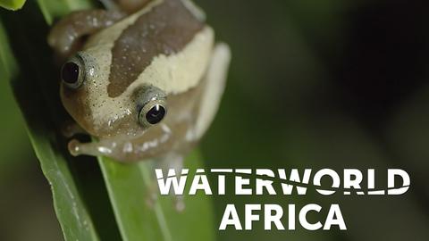 Waterworld Africa