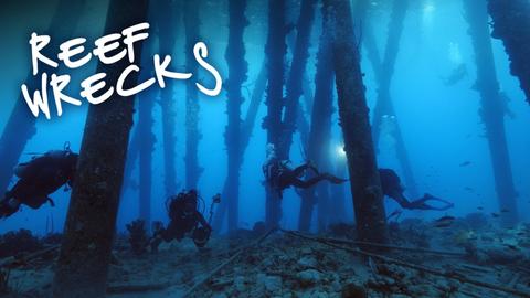 Reef Wrecks