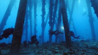 Reef Wrecks of Bonaire Reef Wrecks of Bonaire