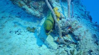 Florida Keys Shipwreck Trail