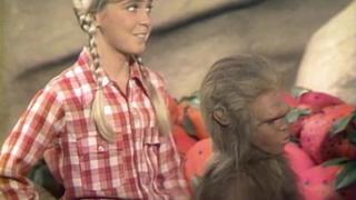 The Paku Who Came to Dinner The Paku Who Came to Dinner